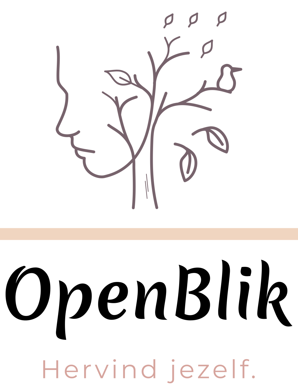 OpenBlik, hervind jezelf